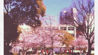 20110405元町中公園さくら